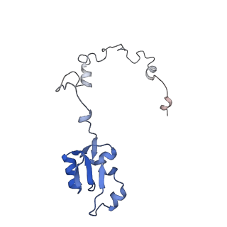 11232_6zj3_La_v1-2
Cryo-EM structure of the highly atypical cytoplasmic ribosome of Euglena gracilis