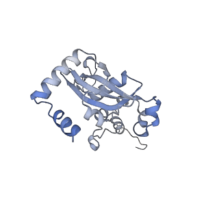 11232_6zj3_Lb_v1-2
Cryo-EM structure of the highly atypical cytoplasmic ribosome of Euglena gracilis