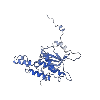 11232_6zj3_Ld_v1-2
Cryo-EM structure of the highly atypical cytoplasmic ribosome of Euglena gracilis