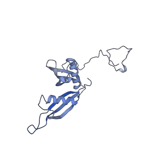 11232_6zj3_Lg_v1-2
Cryo-EM structure of the highly atypical cytoplasmic ribosome of Euglena gracilis