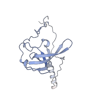 11232_6zj3_Lh_v1-2
Cryo-EM structure of the highly atypical cytoplasmic ribosome of Euglena gracilis