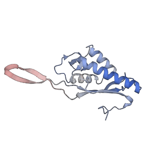 11232_6zj3_Li_v1-2
Cryo-EM structure of the highly atypical cytoplasmic ribosome of Euglena gracilis