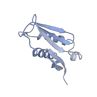 11232_6zj3_Lj_v1-2
Cryo-EM structure of the highly atypical cytoplasmic ribosome of Euglena gracilis