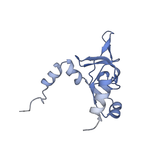 11232_6zj3_Ll_v1-2
Cryo-EM structure of the highly atypical cytoplasmic ribosome of Euglena gracilis