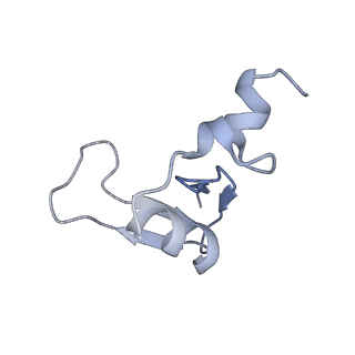 11232_6zj3_Lm_v1-2
Cryo-EM structure of the highly atypical cytoplasmic ribosome of Euglena gracilis