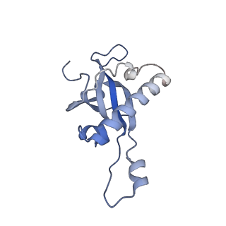 11232_6zj3_Ln_v1-2
Cryo-EM structure of the highly atypical cytoplasmic ribosome of Euglena gracilis