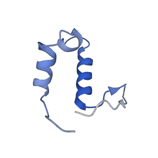 11232_6zj3_Lo_v1-2
Cryo-EM structure of the highly atypical cytoplasmic ribosome of Euglena gracilis