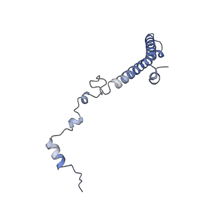 11232_6zj3_Lp_v1-2
Cryo-EM structure of the highly atypical cytoplasmic ribosome of Euglena gracilis