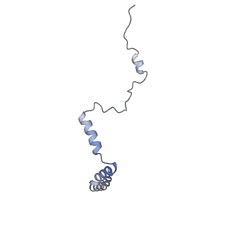 11232_6zj3_Lq_v1-2
Cryo-EM structure of the highly atypical cytoplasmic ribosome of Euglena gracilis