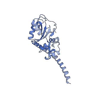 11232_6zj3_Lr_v1-2
Cryo-EM structure of the highly atypical cytoplasmic ribosome of Euglena gracilis