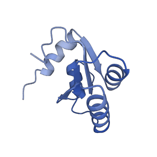 11232_6zj3_Ls_v1-2
Cryo-EM structure of the highly atypical cytoplasmic ribosome of Euglena gracilis