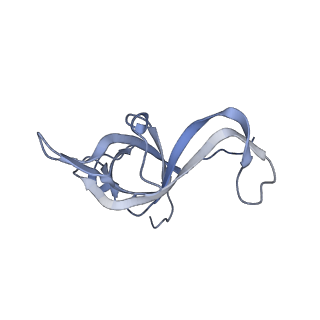 11232_6zj3_Lv_v1-2
Cryo-EM structure of the highly atypical cytoplasmic ribosome of Euglena gracilis