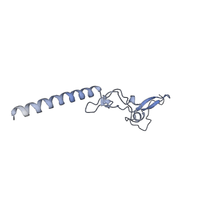 11232_6zj3_Lw_v1-2
Cryo-EM structure of the highly atypical cytoplasmic ribosome of Euglena gracilis