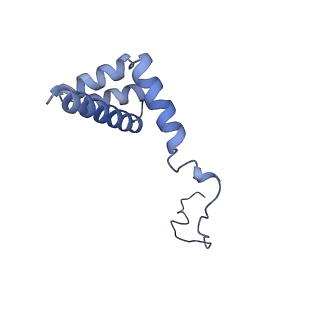11232_6zj3_Lx_v1-2
Cryo-EM structure of the highly atypical cytoplasmic ribosome of Euglena gracilis