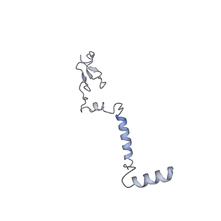 11232_6zj3_Ly_v1-2
Cryo-EM structure of the highly atypical cytoplasmic ribosome of Euglena gracilis