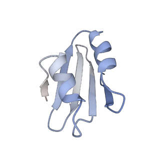 11232_6zj3_Lz_v1-2
Cryo-EM structure of the highly atypical cytoplasmic ribosome of Euglena gracilis