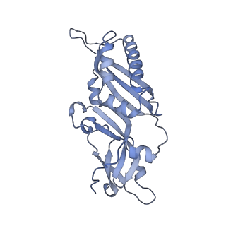 11232_6zj3_SA_v1-2
Cryo-EM structure of the highly atypical cytoplasmic ribosome of Euglena gracilis