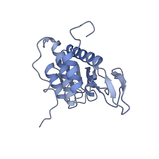 11232_6zj3_SB_v1-2
Cryo-EM structure of the highly atypical cytoplasmic ribosome of Euglena gracilis
