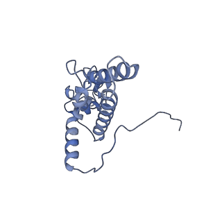 11232_6zj3_SD_v1-2
Cryo-EM structure of the highly atypical cytoplasmic ribosome of Euglena gracilis