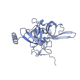 11232_6zj3_SE_v1-2
Cryo-EM structure of the highly atypical cytoplasmic ribosome of Euglena gracilis