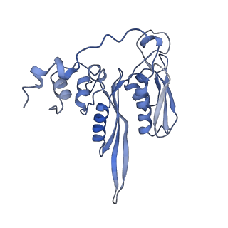 11232_6zj3_SF_v1-2
Cryo-EM structure of the highly atypical cytoplasmic ribosome of Euglena gracilis