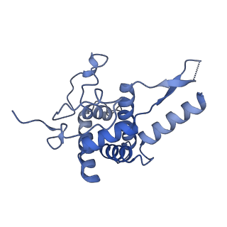 11232_6zj3_SH_v1-2
Cryo-EM structure of the highly atypical cytoplasmic ribosome of Euglena gracilis