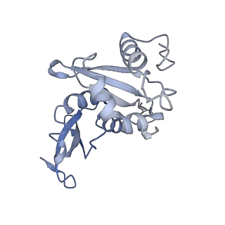11232_6zj3_SI_v1-2
Cryo-EM structure of the highly atypical cytoplasmic ribosome of Euglena gracilis