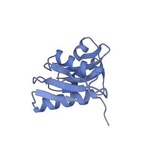 11232_6zj3_SJ_v1-2
Cryo-EM structure of the highly atypical cytoplasmic ribosome of Euglena gracilis