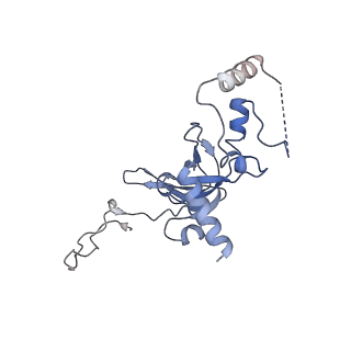 11232_6zj3_SK_v1-2
Cryo-EM structure of the highly atypical cytoplasmic ribosome of Euglena gracilis