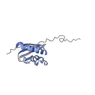 11232_6zj3_SL_v1-2
Cryo-EM structure of the highly atypical cytoplasmic ribosome of Euglena gracilis