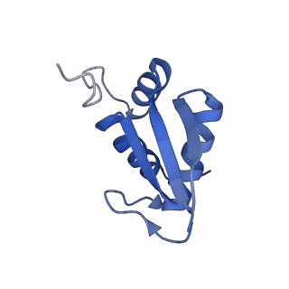 11232_6zj3_SN_v1-2
Cryo-EM structure of the highly atypical cytoplasmic ribosome of Euglena gracilis