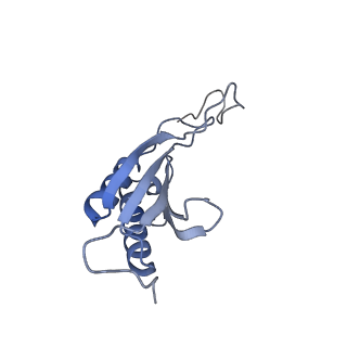 11232_6zj3_SO_v1-2
Cryo-EM structure of the highly atypical cytoplasmic ribosome of Euglena gracilis