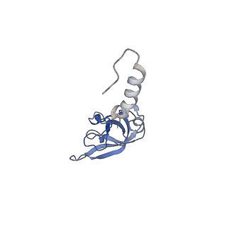 11232_6zj3_SP_v1-2
Cryo-EM structure of the highly atypical cytoplasmic ribosome of Euglena gracilis