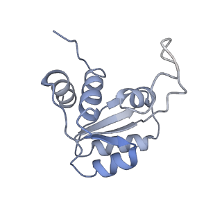 11232_6zj3_SQ_v1-2
Cryo-EM structure of the highly atypical cytoplasmic ribosome of Euglena gracilis
