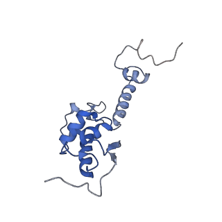11232_6zj3_SR_v1-2
Cryo-EM structure of the highly atypical cytoplasmic ribosome of Euglena gracilis