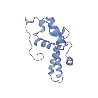 11232_6zj3_ST_v1-2
Cryo-EM structure of the highly atypical cytoplasmic ribosome of Euglena gracilis