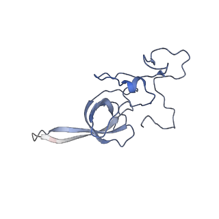 11232_6zj3_SU_v1-2
Cryo-EM structure of the highly atypical cytoplasmic ribosome of Euglena gracilis