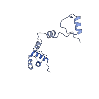11232_6zj3_SV_v1-2
Cryo-EM structure of the highly atypical cytoplasmic ribosome of Euglena gracilis
