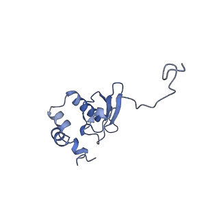 11232_6zj3_SW_v1-2
Cryo-EM structure of the highly atypical cytoplasmic ribosome of Euglena gracilis