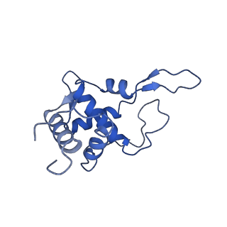 11232_6zj3_SX_v1-2
Cryo-EM structure of the highly atypical cytoplasmic ribosome of Euglena gracilis