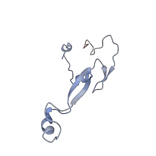11232_6zj3_Sb_v1-2
Cryo-EM structure of the highly atypical cytoplasmic ribosome of Euglena gracilis