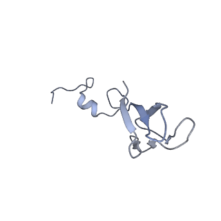 11232_6zj3_Sc_v1-2
Cryo-EM structure of the highly atypical cytoplasmic ribosome of Euglena gracilis