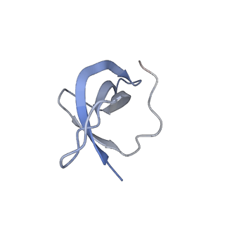 11232_6zj3_Sd_v1-2
Cryo-EM structure of the highly atypical cytoplasmic ribosome of Euglena gracilis