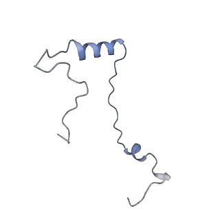 11232_6zj3_Se_v1-2
Cryo-EM structure of the highly atypical cytoplasmic ribosome of Euglena gracilis