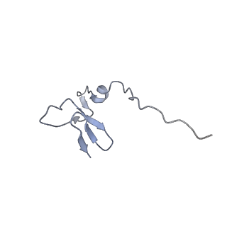 11232_6zj3_Sf_v1-2
Cryo-EM structure of the highly atypical cytoplasmic ribosome of Euglena gracilis