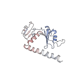 11232_6zj3_Sg_v1-2
Cryo-EM structure of the highly atypical cytoplasmic ribosome of Euglena gracilis