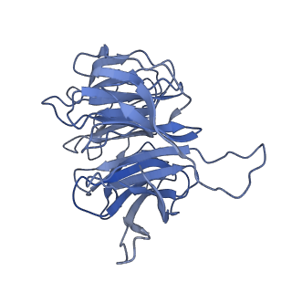 11232_6zj3_Sh_v1-2
Cryo-EM structure of the highly atypical cytoplasmic ribosome of Euglena gracilis