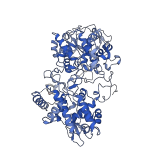 11234_6zji_AP1_v1-0
Cryo-EM structure of wild-type KatG from M. tuberculosis