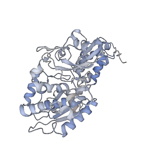11235_6zjl_1_v1-0
Respiratory complex I from Thermus thermophilus, NAD+ dataset, major state