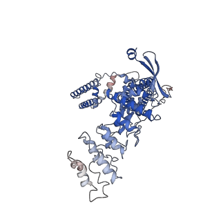 14745_7zjd_A_v1-0
Transient receptor potential cation channel subfamily V member 2,Enhanced green fluorescent protein
